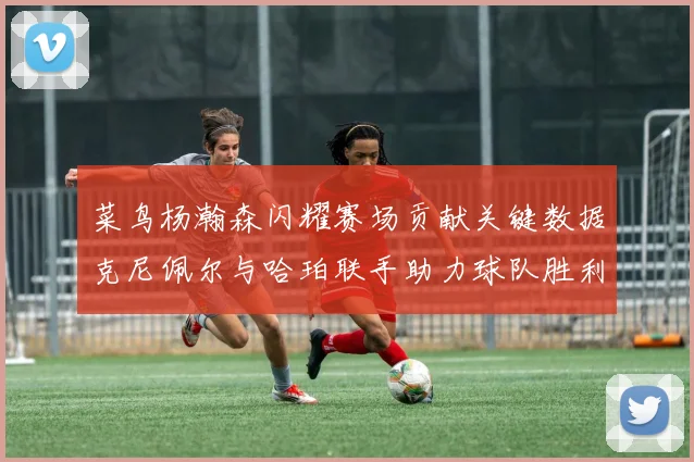 菜鸟杨瀚森闪耀赛场贡献关键数据克尼佩尔与哈珀联手助力球队胜利