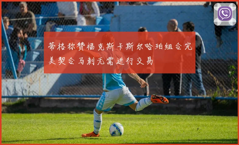 蒂格称赞福克斯卡斯尔哈珀组合完美契合马刺无需进行交易